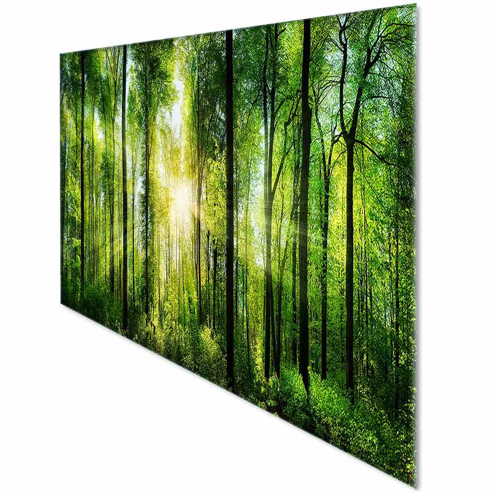 Quadro in plexiglass o vetro con un bosco illuminato dalla luce, vista laterale che mette in risalto le ombre e i contrasti.