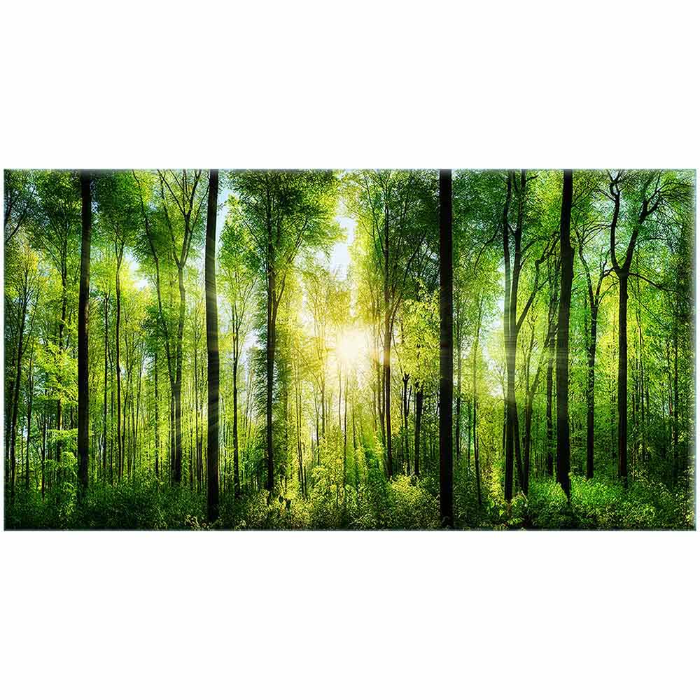 Quadro in plexiglass o vetro con raggio di sole che attraversa alberi slanciati in bosco verde brillante, visto frontalmente.