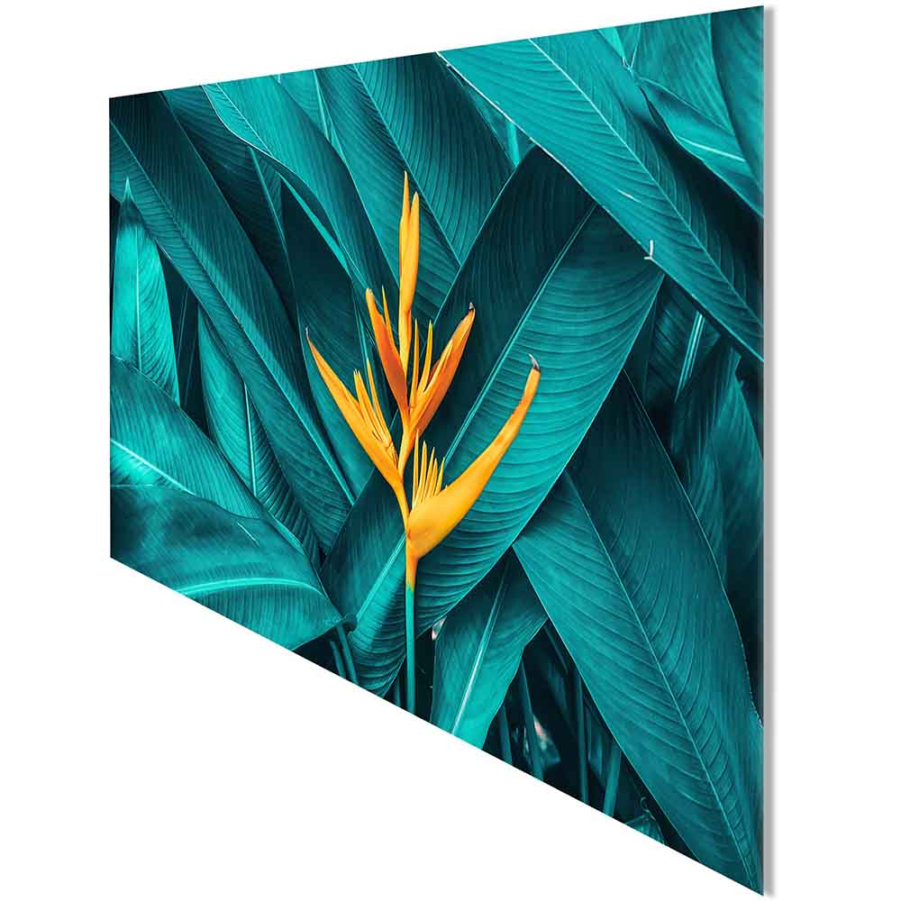 Quadro in plexiglass o vetro con fiore arancione, visto lateralmente per evidenziarne i dettagli e le sfumature.