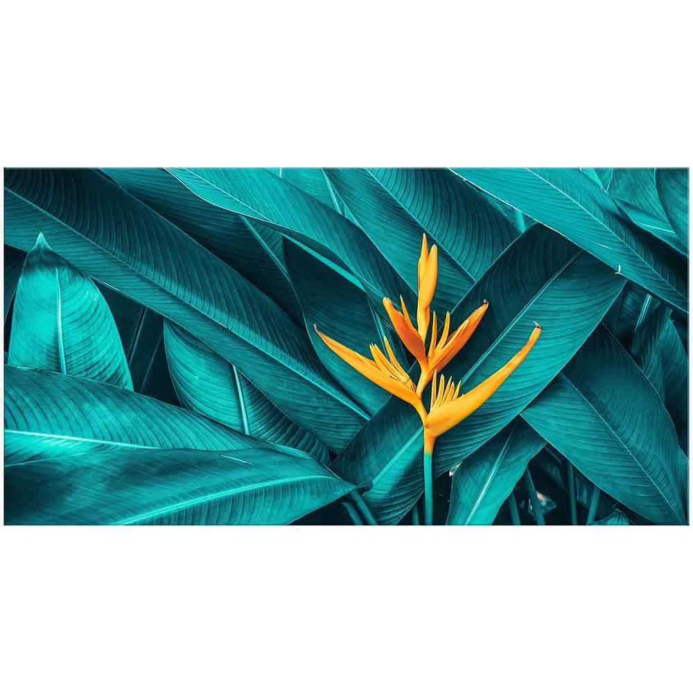 Quadro in plexiglass o vetro con un grande fiore arancione vivace, che aggiunge energia e calore all’ambiente.