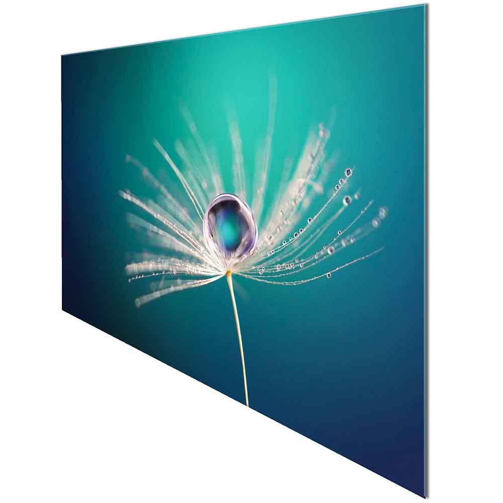 Quadro in plexiglass o vetro con una macro di un seme di tarassaco e goccia d'acqua centrale, su sfondo verde acqua, visto lateralmente.