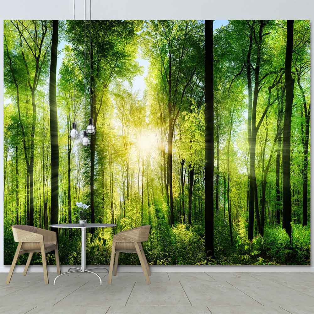 Quadro su tela grande con foresta rigogliosa illuminata dal sole, atmosfera naturale perfetta per soggiorni luminosi e rilassanti.