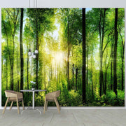Quadro su tela grande con foresta rigogliosa illuminata dal sole, atmosfera naturale perfetta per soggiorni luminosi e rilassanti.
