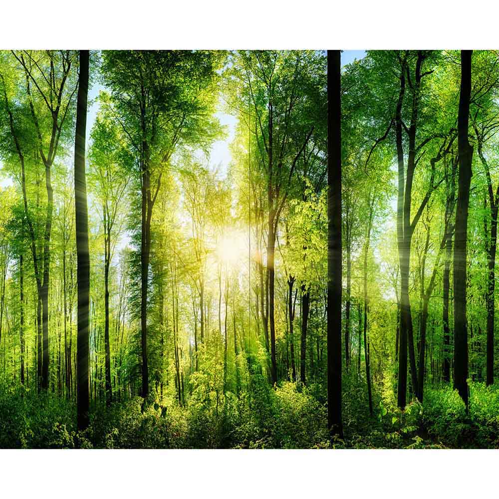 Quadro su tela grande con bosco verde acceso illuminato da raggi solari, ideale per ambienti rilassanti e ispirati alla natura.