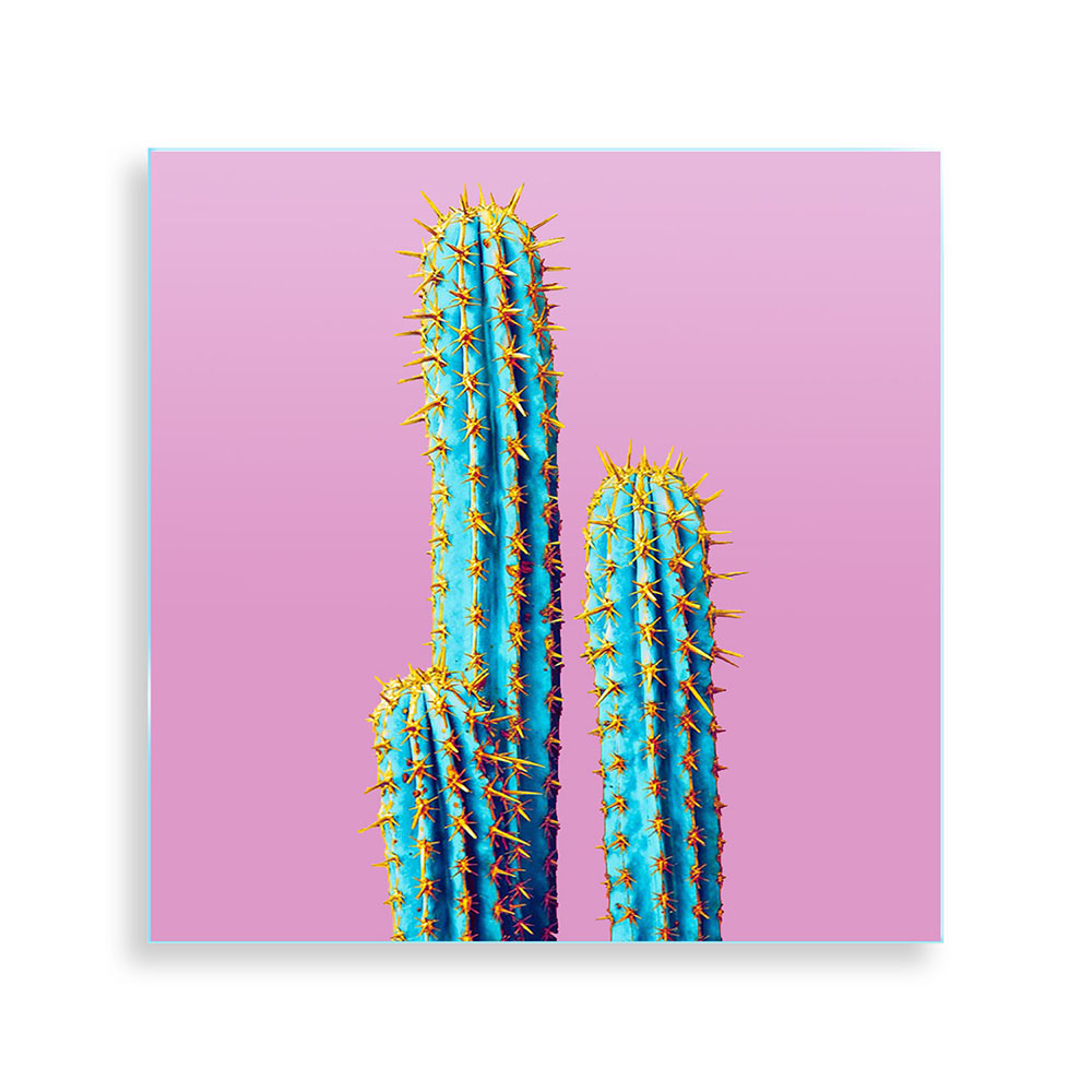 Quadro su vetro quadrato con illustrazione di un cactus su sfondo dai toni rosa, dal design moderno e vivace.